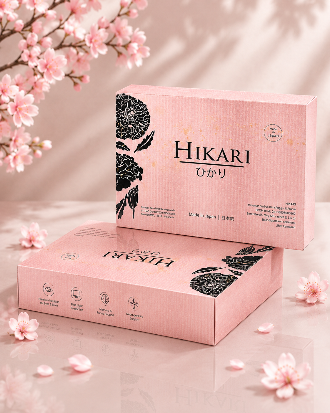 HIKARI_2BOX_b